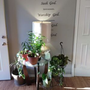 Meet your Posher, Greenvibes